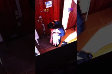 不倫相手は… #ショードラfany_d #ショートドラマ #Shorts