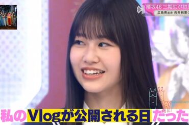 櫻坂46 向井純葉