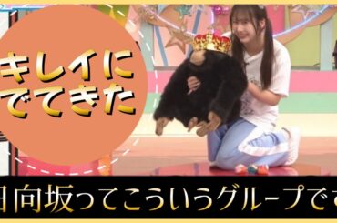 クリフハンガー新規の皆さん。これが日向坂46というアイドルです【日向坂で会いましょう】
