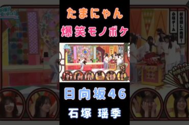 【石塚💙日向坂46】『爆笑モノボケ』#石塚瑶季 #日向坂46 #ひなあい #オードリー #マキバオー #うんこたれ蔵