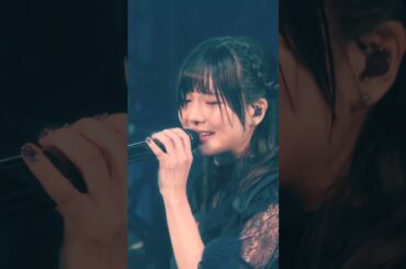 Last Summer Daydream / Ringwanderung Live at KT Zepp Yokohama (2025.09.06) #live #idol  #ライブ #アイドル