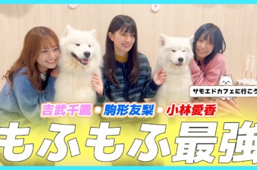 【ボイスキット】サモエドカフェに行こう！Part.2