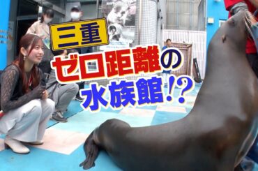 日本初！動物との握手体験ができる伊勢の水族館　ゼロ距離で動物と触れ合える新体験を伊勢SNSアンバサダーの伊勢鈴蘭が大調査！