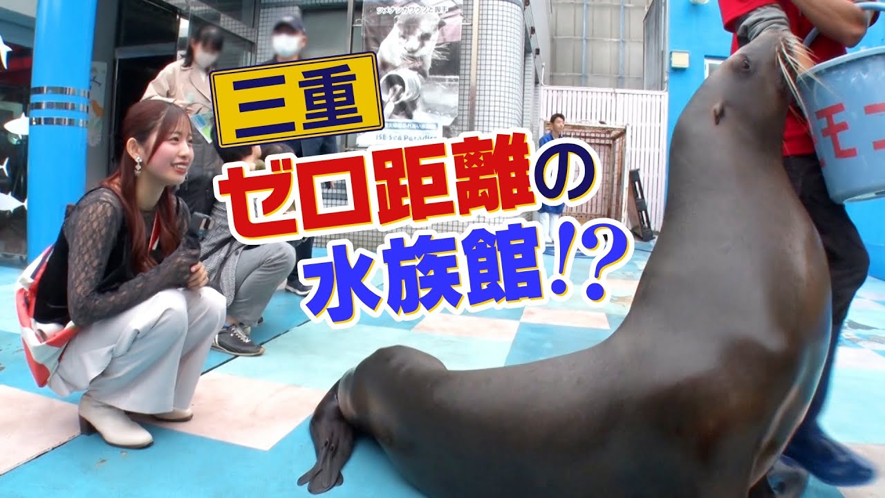 日本初!動物との握手体験ができる伊勢の水族館 ゼロ距離で動物と触れ合える新体験を伊勢SNSアンバサダーの伊勢鈴蘭が大調査! 日本初!動物との握手体験ができる伊勢の水族館 ゼロ距離で動物と触れ合える新体験を伊勢SNSアンバサダーの伊勢鈴蘭が大調査!