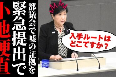 【小池百合子】都議会で完全失墜…学歴疑惑と沈黙の連鎖が都政崩壊を招く決定的瞬間 #都議会 #佐藤沙織里