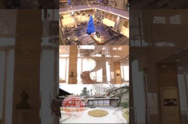 元NHKアナウンサーの武内陶子さんが堪能　京都迎賓館とウェスティン都ホテル京都　満喫ツアー【教えて！ツアーの達人】　#shorts #shortvideo #short  #旅番組