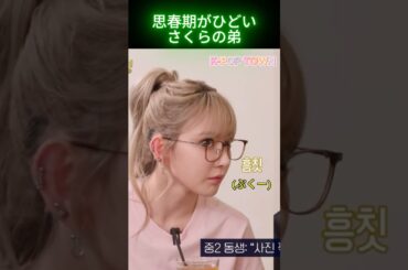 さくらの弟の二重人格#sakura #lesserafim #kpop #shorts