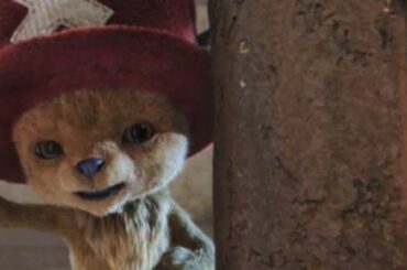 🎬 “声で帰ってきた仲間たち” 実写版ONE PIECEに最強布陣✨