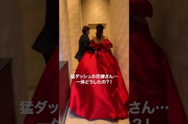ドレス姿で猛ダッシュ！いったい何が!? #結婚式 #shorts