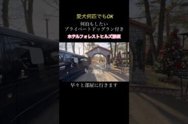 まさに神宿❗️絶対損無し‼️ #ホテルフォレストヒルズ那須 #お宿 #犬 #プライベートドッグラン