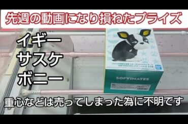 1/19　イギー　サスケ　ボニー　ベネクス川越　クレーンゲーム　完全クレゲ宣言！　チャンネル登録募集中！　プライズ　フィギュア　買取　秋葉原