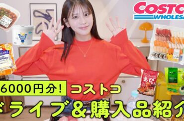 コストコへドライブ＆激うま購入品紹介！46000円分も買ってしまいました…