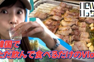 韓国でただ飲んで食べるだけのVlog