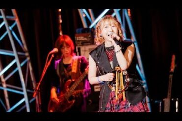 「安野希世乃、感動のライブ🔥タオル回しで会場が一体に#安野希世乃 #ライブレポ #雨がやむまで #堂島孝平 #豊洲PIT #声優ライブ #ライブツアー2025 #TheFreddie #アルゴリズム