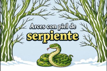 Arces con piel de serpiente