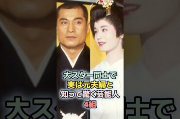大スター同士で実は元夫婦と知って驚く芸能人4組 #shorts 　#ランキング　#雑学　#芸能人　#大地真央　#松平健　#藤圭子　#宇多田ヒカル　#大原麗子　#森進一　#離婚　#夫婦　#結婚