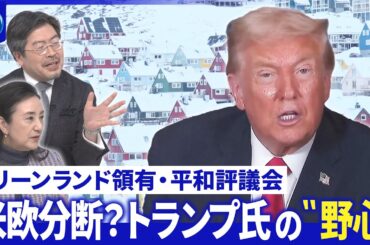 トランプ氏グリーンランドは「我々の領土だ」▽国連代替？トランプ氏「平和評議会」発足【深層NEWS】
