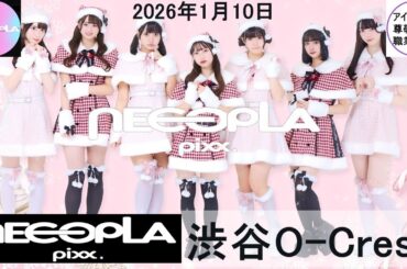 【ネコプラpixx.】2026年1月10日_渋谷O-Crest #ライブ #アイドル #ダンス #かわいい