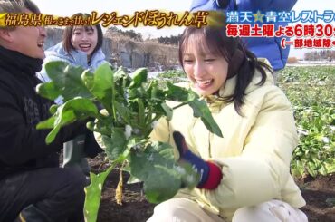 満天☆青空レストラン　1/31放送「福島県　レジェンドほうれん草」