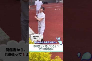 結果の出ない日々に、落ち込んでる様子…？古川奈穂騎手#shorts #競馬 #jra