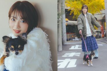 若月佑美さんと愛犬ティカちゃんが遊びにきてくれました！（チワワ｜月刊わんこvol.26撮影オフショット）