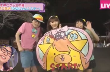 さゆにゃんこスター