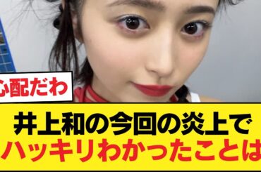 井上和の今回の炎上でハッキリわかったことは【乃木坂46】
