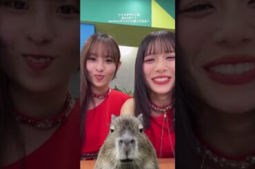 「2025.09.25」井上玲音