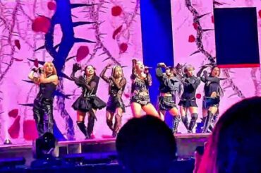 ASEA 2025 HANA 「ROSE」