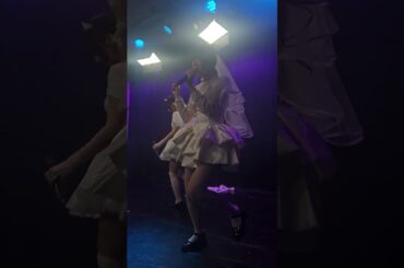 2025.12.13 리스타 リスター X ROCK - ネコプラpixx