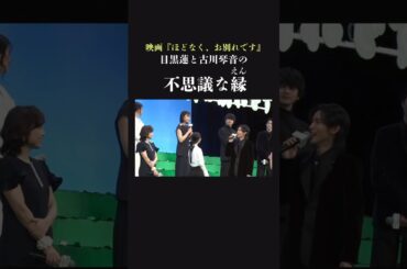 【ご縁】SnowMan 目黒蓮と古川琴音の繋がり。目黒蓮を絶賛。映画『ほどなく、お別れです』