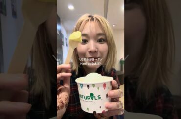 【インド】チョコミントよりもインド味のアイスクリーム🍨🇮🇳💛