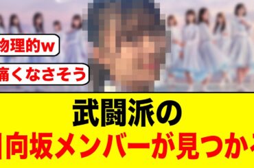 贔屓は許さない！武闘派の日向坂メンバーが見つかるw/あの日向坂メンバーまさかの形で知名度を上げる【日向坂46/日向坂で会いましょう】