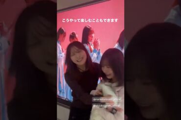 森本茉莉と石塚瑶季　2026/01/28　#日向坂46