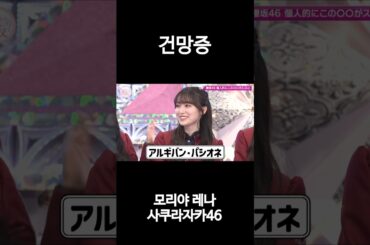 초콜릿 이름을 기억 못하는 모리야 레나  #守屋麗奈 #櫻坂46 #そこ曲がったら櫻坂 #そこさく