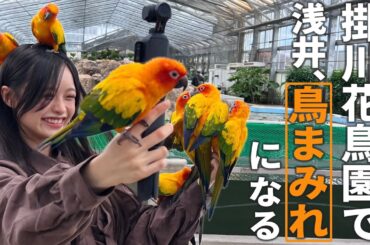 【天国】鳥マニア浅井が掛川花鳥園で鳥まみれ！櫻坂46にも遭遇！？