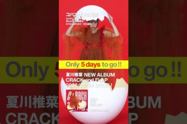 #夏川椎菜 4thAL「CRACK and FLAP」発売まであと5️⃣日！ #crackandflap