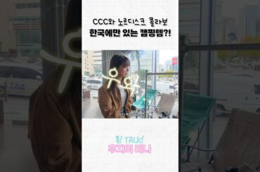 한국 한정판 캠핑템?!