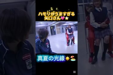 【真夏の光線】 ハモリが上手すぎる矢口さん🥰⭐️ #モーニング娘 #モー娘 #名曲 #平成 #夏 #青春 #市井紗耶香 #矢口真里 #安倍なつみ #なっち #ハロモニ #ハロプロ #ハモリ #可愛い