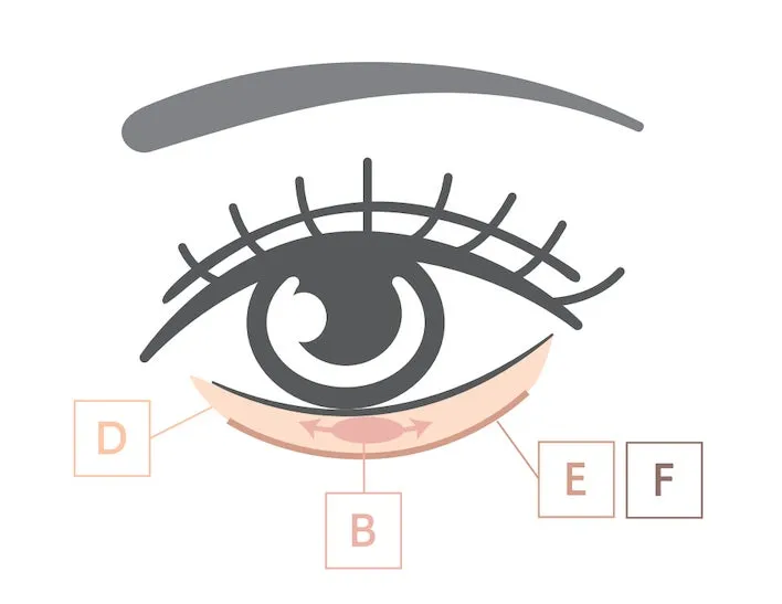 目のイラスト(涙袋)