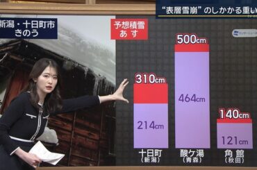 【画像】今日の細川栞さん 1.29