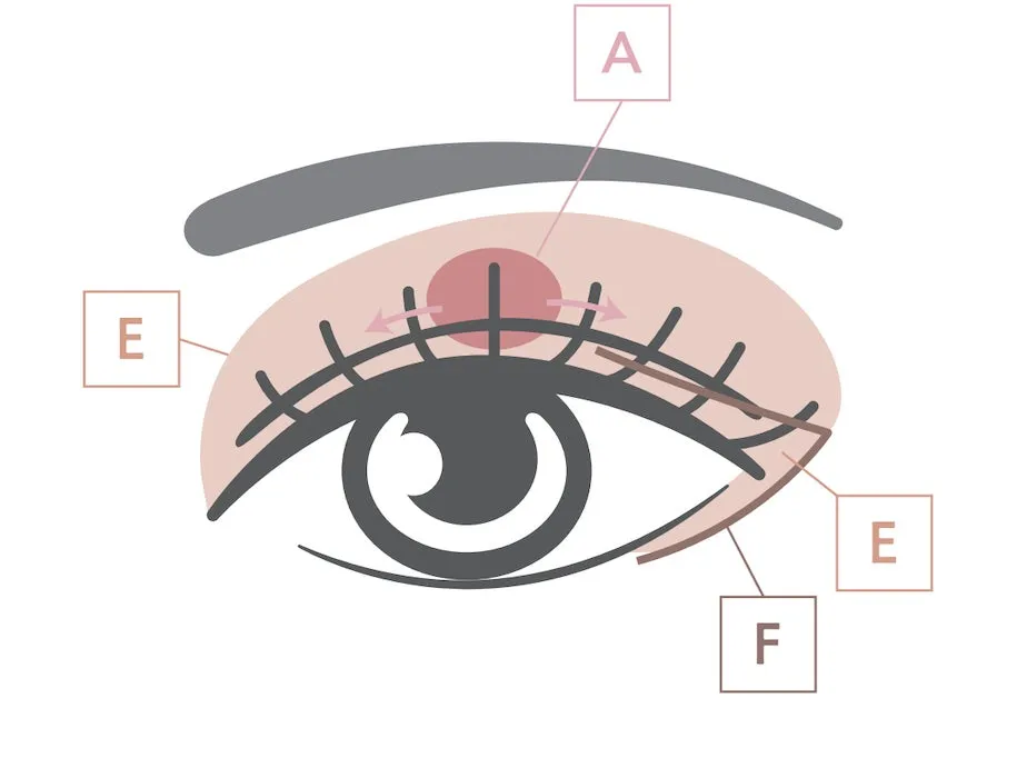 目のイラスト(まぶた)