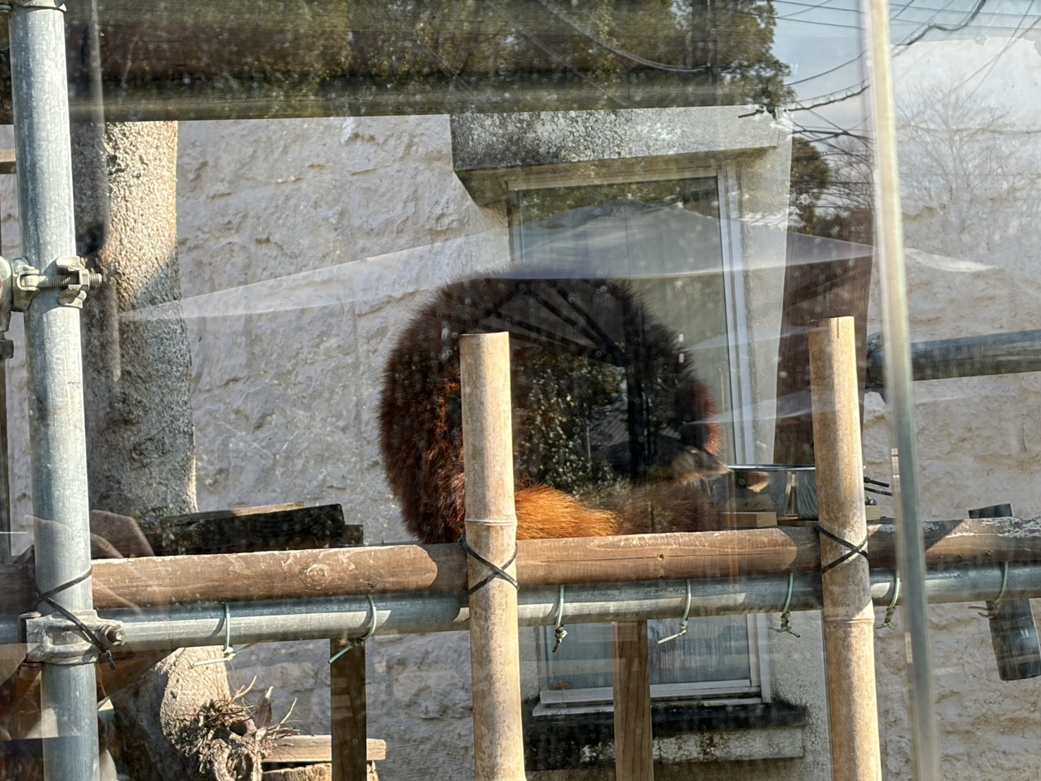 声優・黒木ほの香エッセイ「思い立ったら行動派へのすすめ」:黒木ほの香のどうか内密に。_009