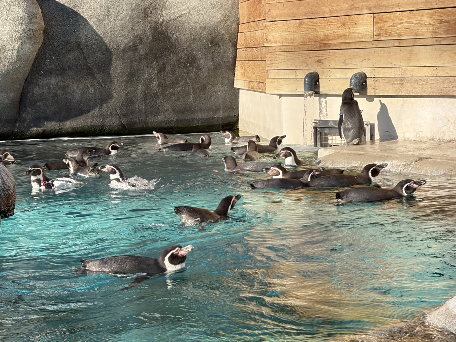 声優・黒木ほの香エッセイ「思い立ったら行動派へのすすめ」:黒木ほの香のどうか内密に。_002