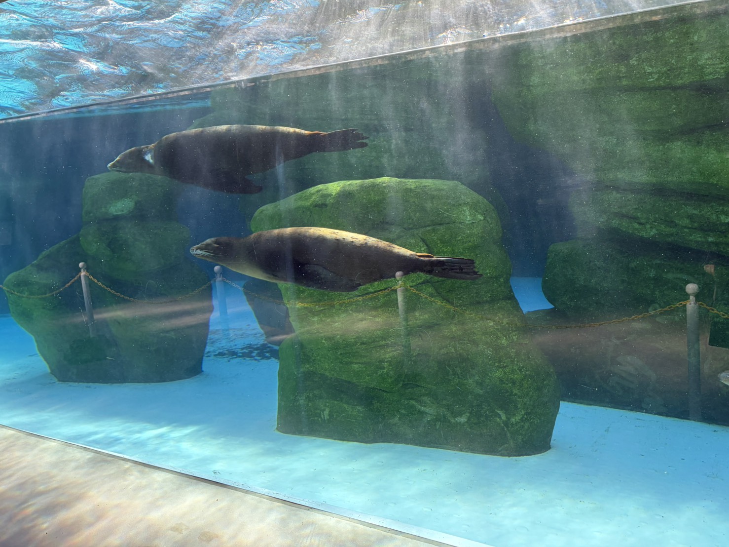 声優・黒木ほの香エッセイ「思い立ったら行動派へのすすめ」:黒木ほの香のどうか内密に。_006