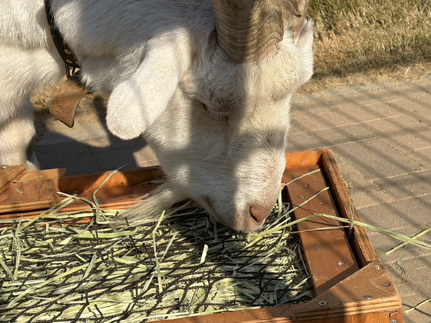 声優・黒木ほの香エッセイ「思い立ったら行動派へのすすめ」:黒木ほの香のどうか内密に。_008