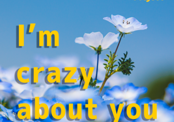 Shun Project、「I’m crazy about you (feat. Sheena & Eri)」を配信開始｜THE MAGAZINE