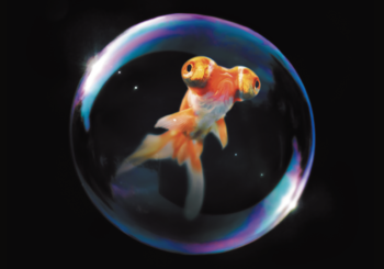 REBEL REBEL、「THIS IS THE ONE」を配信開始｜THE MAGAZINE