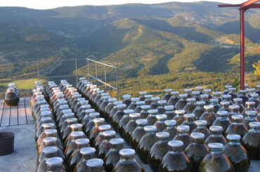 TERRA PROVENCE、自然に寄り添う香りが次代の主流へ - 化粧品業界人必読！週刊粧業オンライン