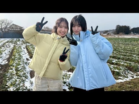 【日向坂46】金村美玖&髙橋未来虹が出会った“レジェンドほうれん草”🌱✨ 感動の体験と学び 【日向坂46】金村美玖&髙橋未来虹が出会った“レジェンドほうれん草”🌱✨ 感動の体験と学び
